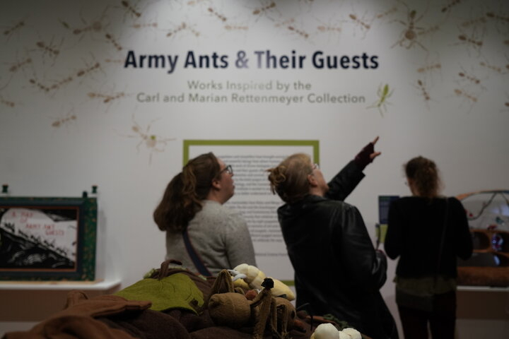 Students and members of the public attend the grand opening of the exhibit "Army Ants and Their Guests" showcased collaborative puppet work between UConn's Ecology and Evolutionary Biology and Puppetry Departments.