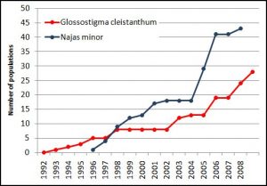 graph showing the rise in number of populations of two aquatic invasive species, Glossostigma cleistanthum and Najas minor.