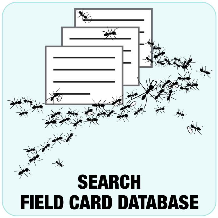 Link to Search Field Card Database