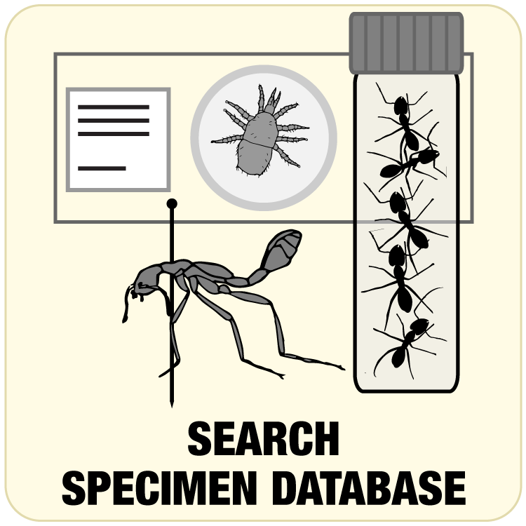 Link to Search Specimen Database