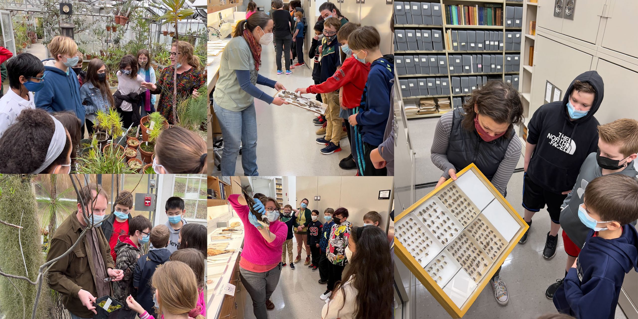 6 graders in Biodiversity Collections